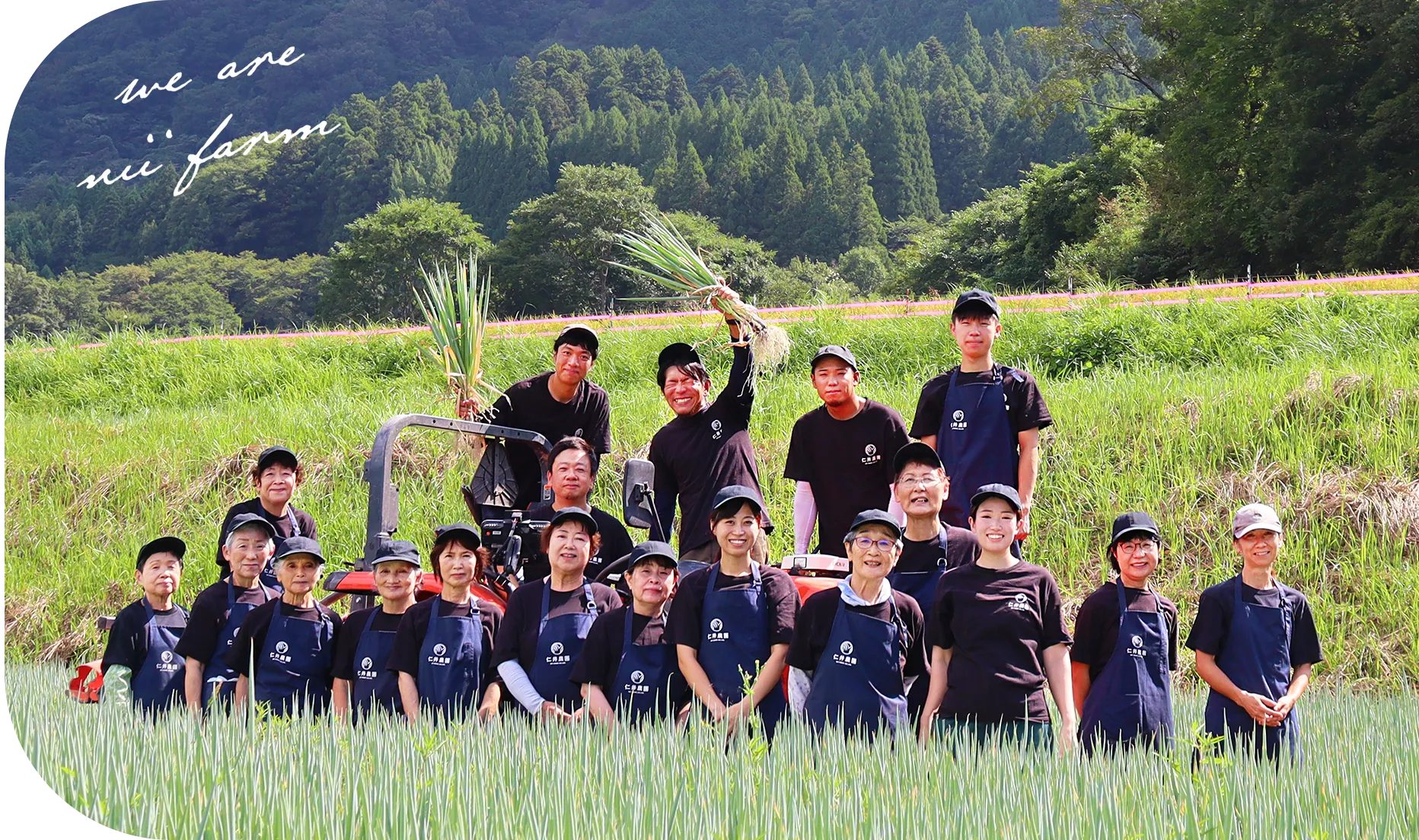 We are Nii Farm
